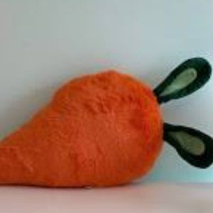 Target Bullseye Carrot Pillow